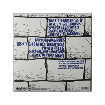 LP. The Janitors "Backstreet Ditties"