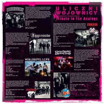 LP. V/A "Tribute to Analogs - Uliczni wojownicy" - biały