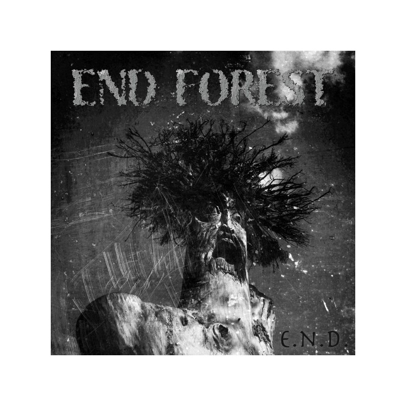 LP. End Forest 