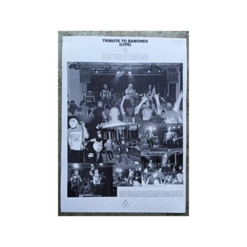 CD. Bulbulators "Ramones Eternally Alive... Tribute To Ramones (Live)"