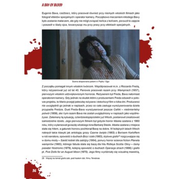 Książka. Łukasz Karaś "Video nasties: Zakazane filmy"