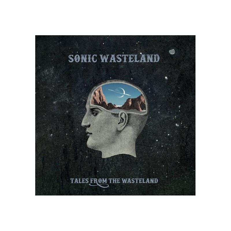 CD. Sonic Wasteland 