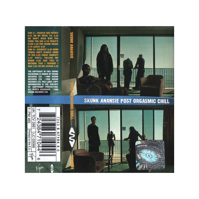 UŻ-MC. Skunk Anansie 