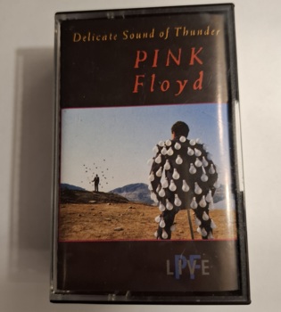 Pink Floyd "Delicate Sound Of Thunder"