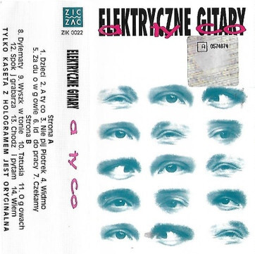 Elektryczne Gitary 