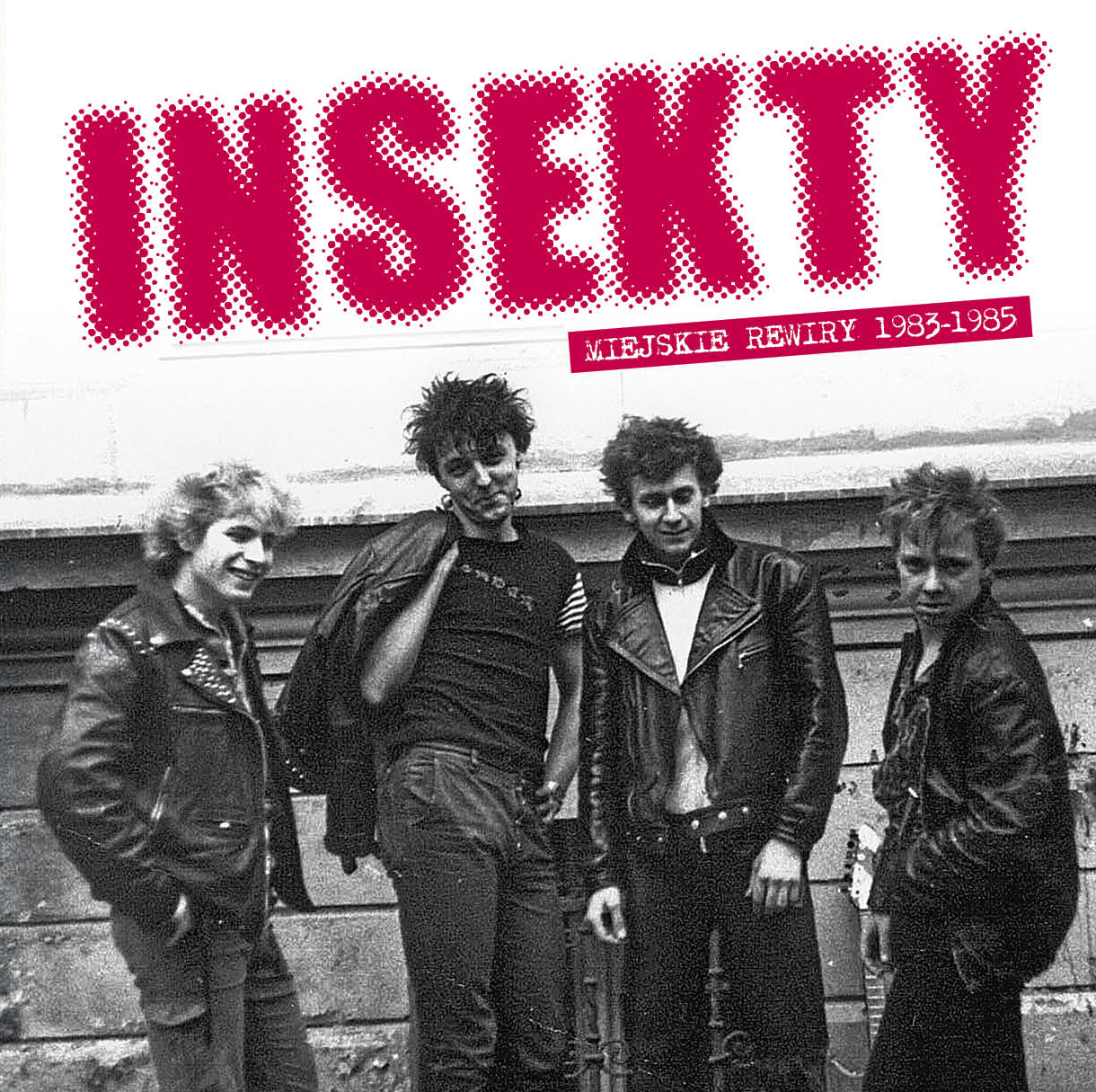 INSEKTY – Miejskie rewiry 1983-85 LP (color)