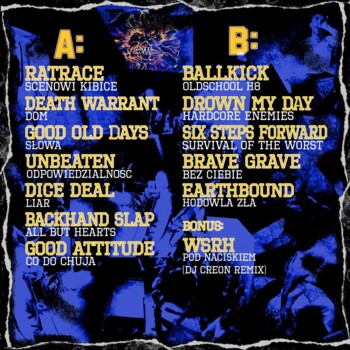 LP. V/A "Schizma is a state of fucking mind"